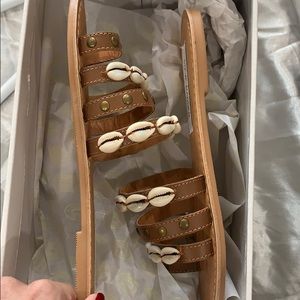 NWT steve madden seashell sandal
